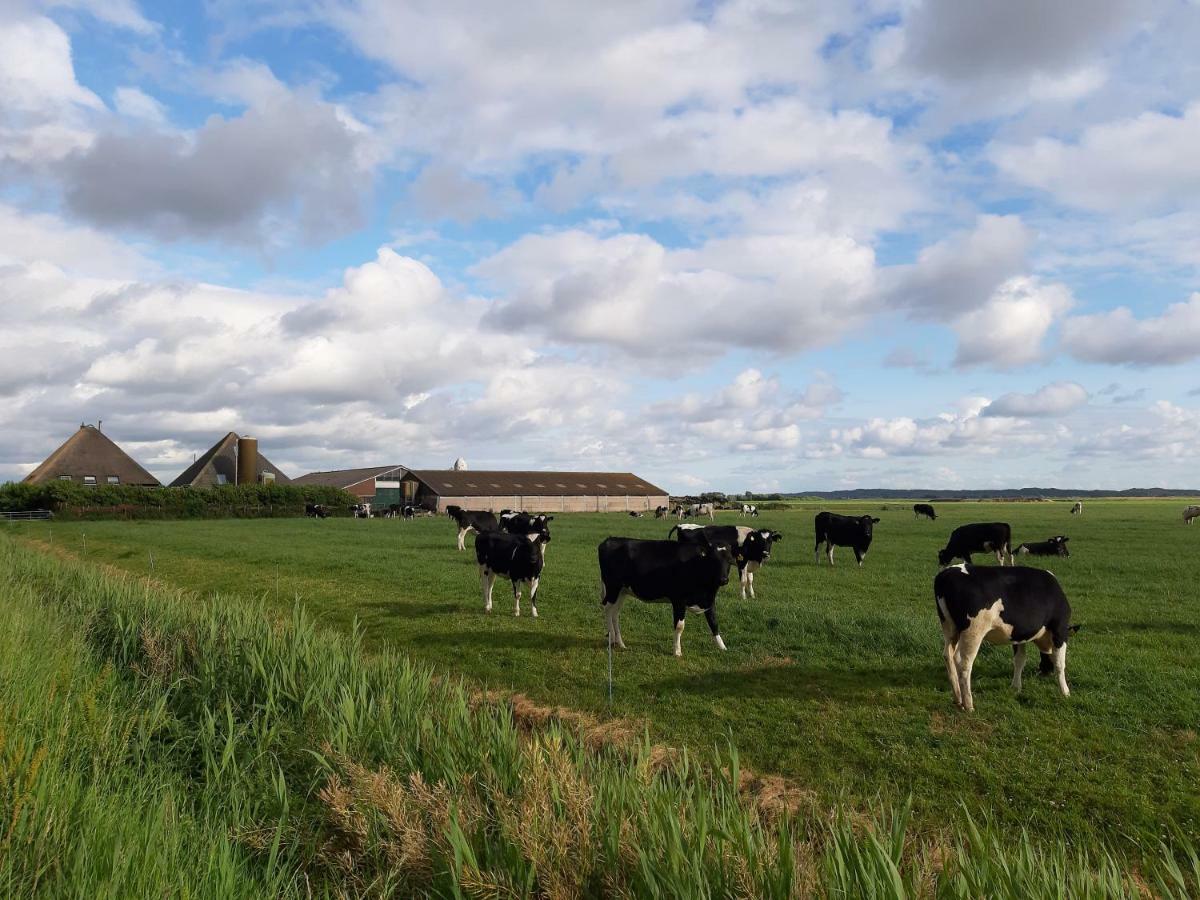 Iefjeshoeve Petten Zewnętrze zdjęcie