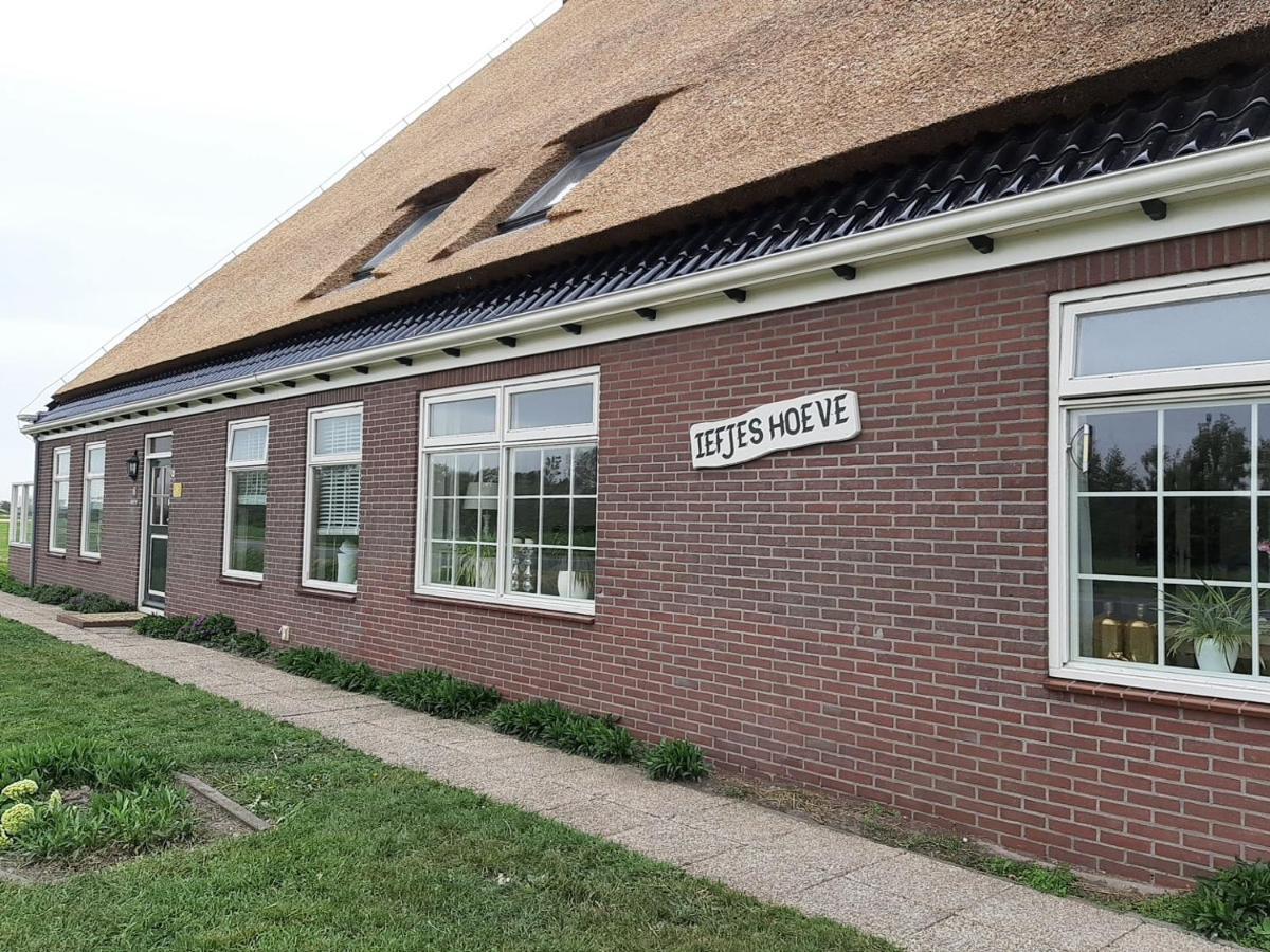 Iefjeshoeve Petten Zewnętrze zdjęcie