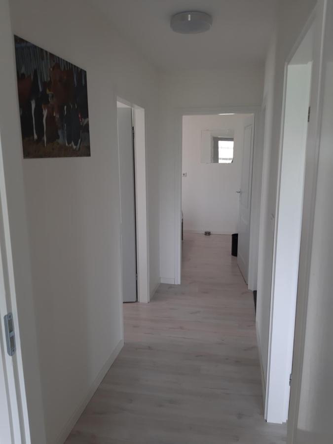 Iefjeshoeve Petten Zewnętrze zdjęcie